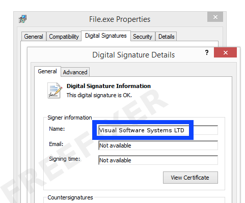 Screenshot of the Visual Software Systems LTD certificate